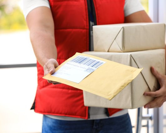 Fast Vs. Free shipping: Delivering a parcel