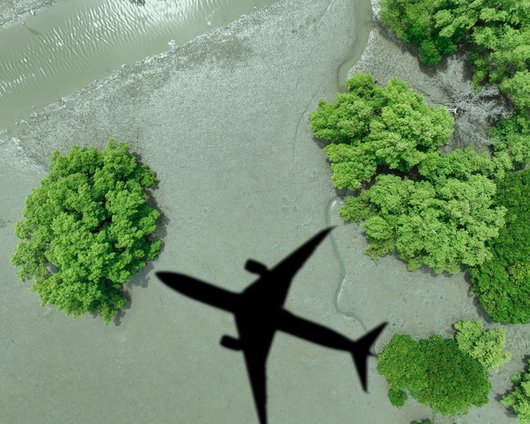Shadow of an aeroplane flying over a green forest and muddy riverbed, viewed from above.