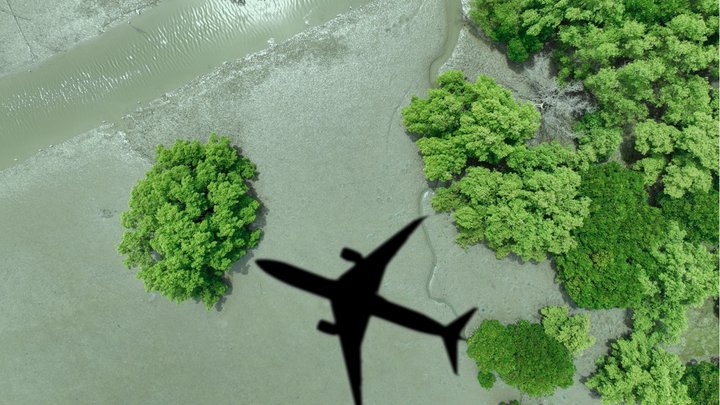 Shadow of an aeroplane flying over a green forest and muddy riverbed, viewed from above.